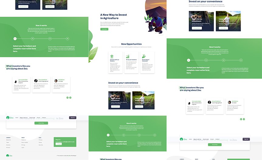 Screenshot of the demo website