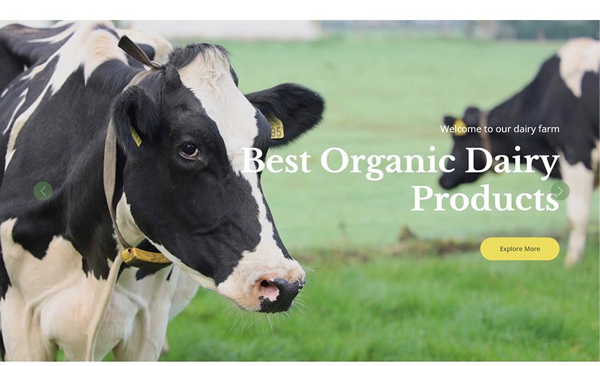 Screenshot of the demo website