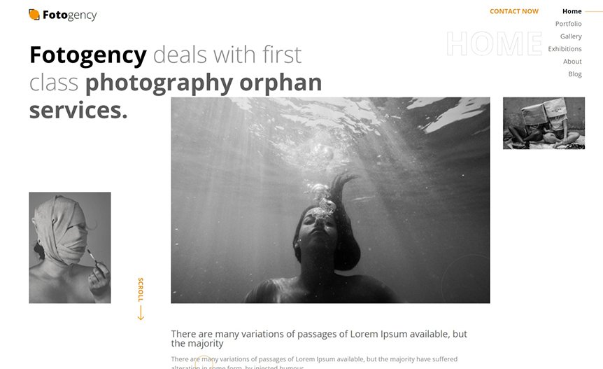 Screenshot of the demo website