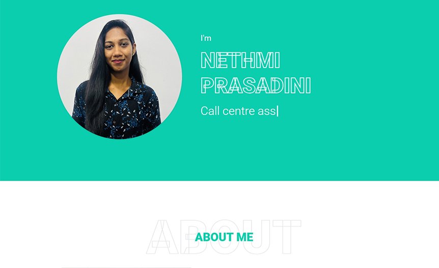 Screenshot of the demo website