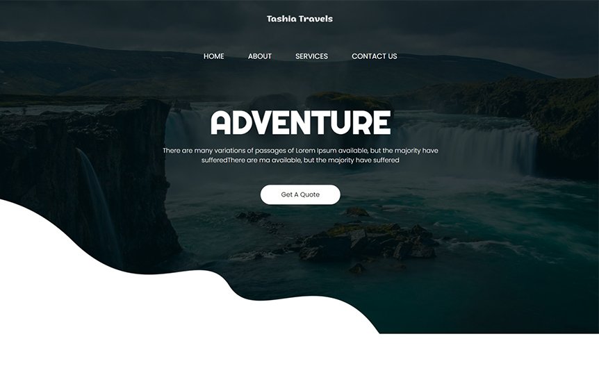 Screenshot of the demo website